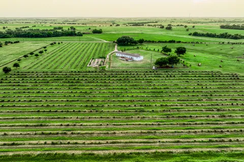 $1,150,000 | 3575 County Road 271, Moulton, TX 77975