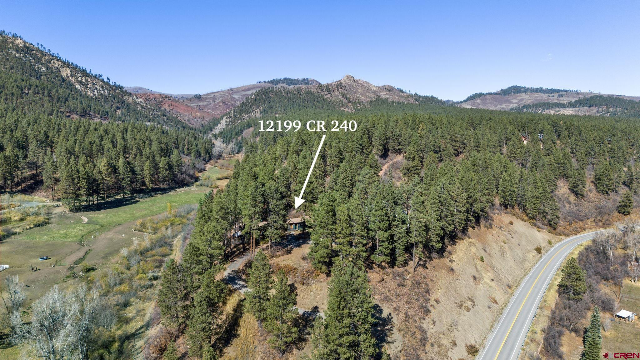 12199 County Road 240 Durango, CO 81301 - Photo 3 of 35 a view of a forest with a mountain in the background