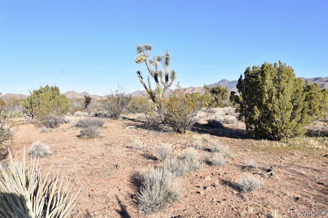 2685 Well Road Yucca, AZ 86438 - Photo 3 of 14 a view of a yard covered in snow