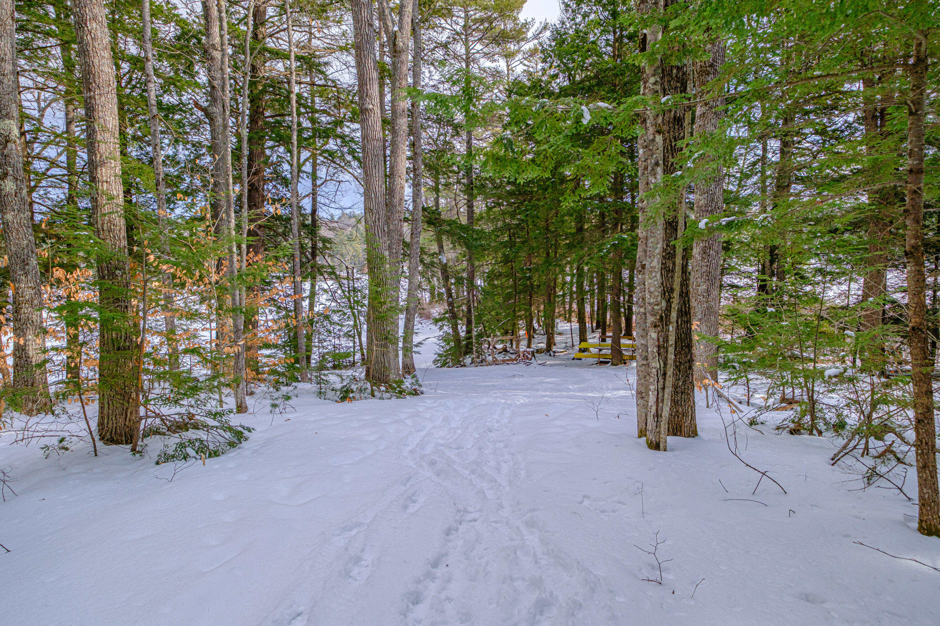 5 Whippoorwill Drive Naples, ME 04055 - Photo 81 of 101 20260123gp-60113