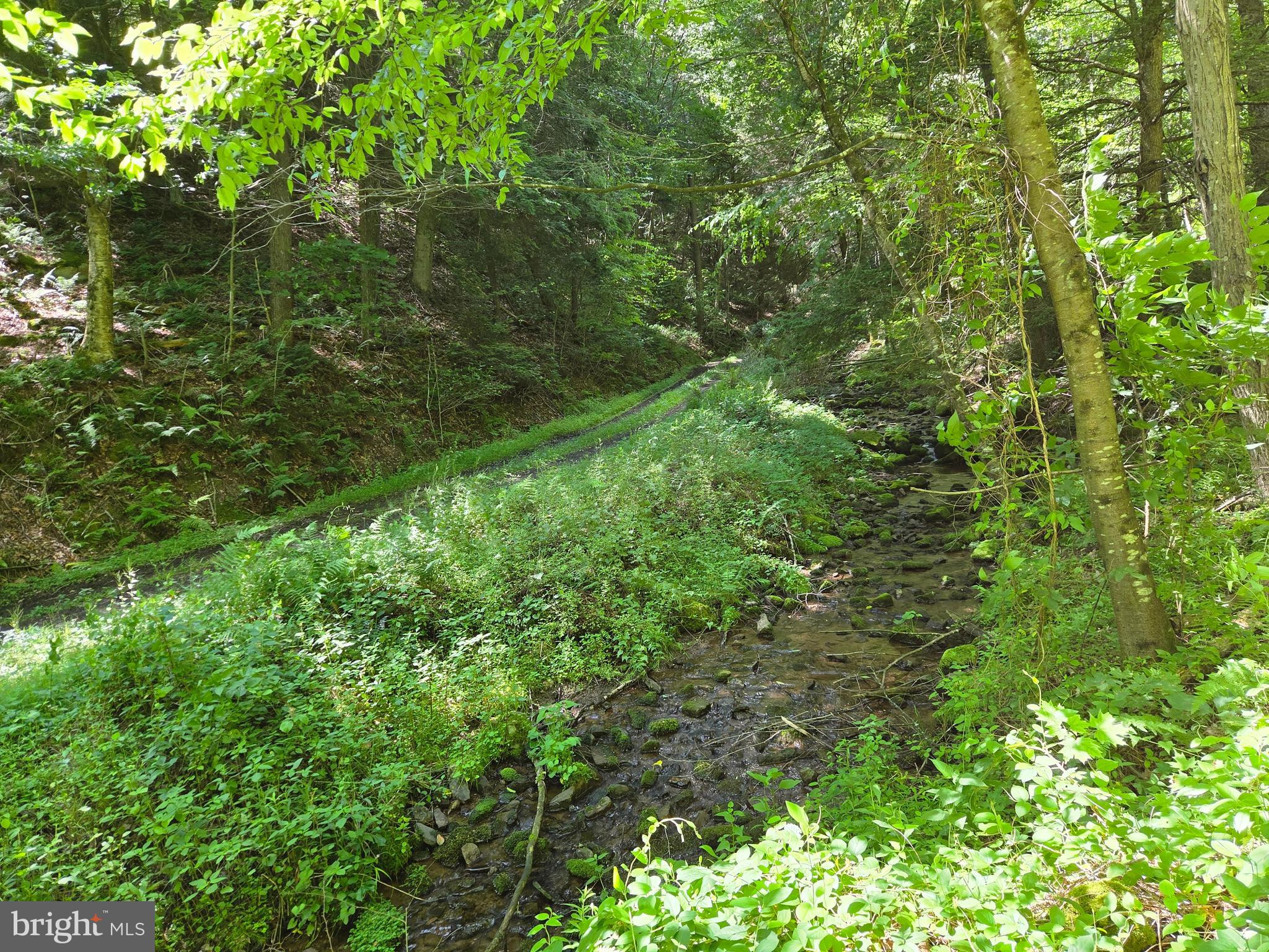 0 Carlisle Gap Road Lewistown, PA 17044 - Photo 1 of 53
