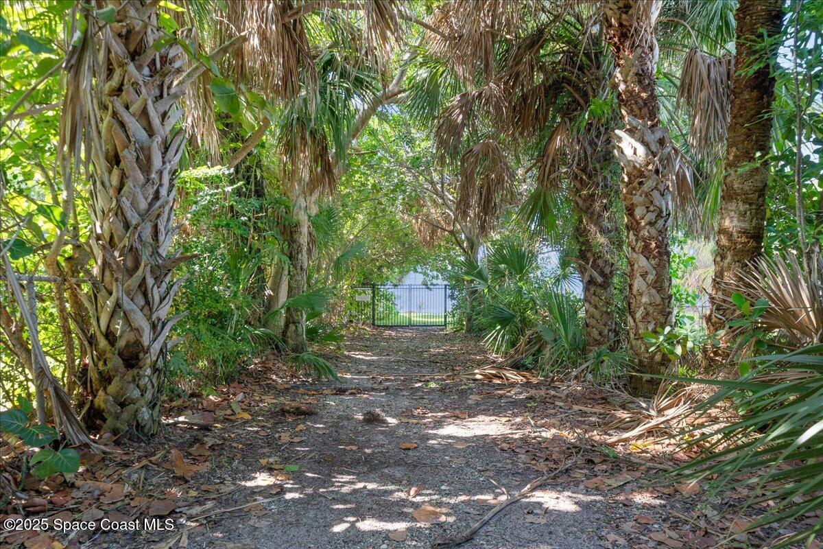 7831 Winona Road Melbourne Beach, FL 32951 - Photo 31 of 41 a view of a forest with trees in the background