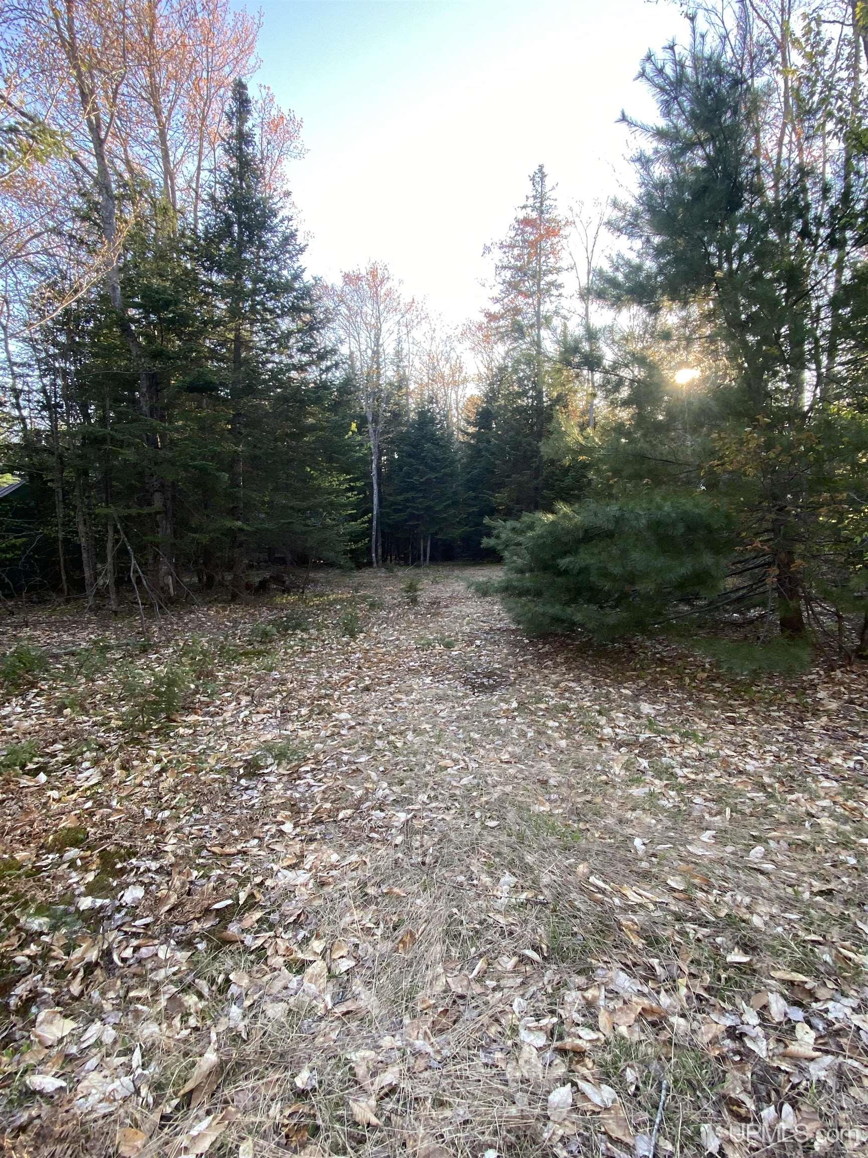 Tbd South Ross Lake Road Shingleton, MI 49884 - Photo 1 of 9