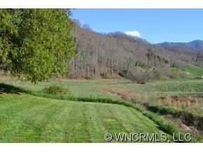 2868 Max Patch Road Clyde, NC 28721 - Photo 19 of 19 a view of a lush green hillside and a houses