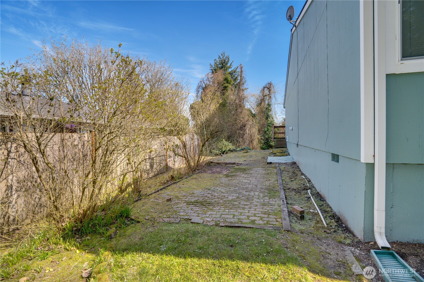 3023 Bridgeport Way West, Unit B University Place, WA 98466 - Photo 27 of 30 a view of a yard with trees