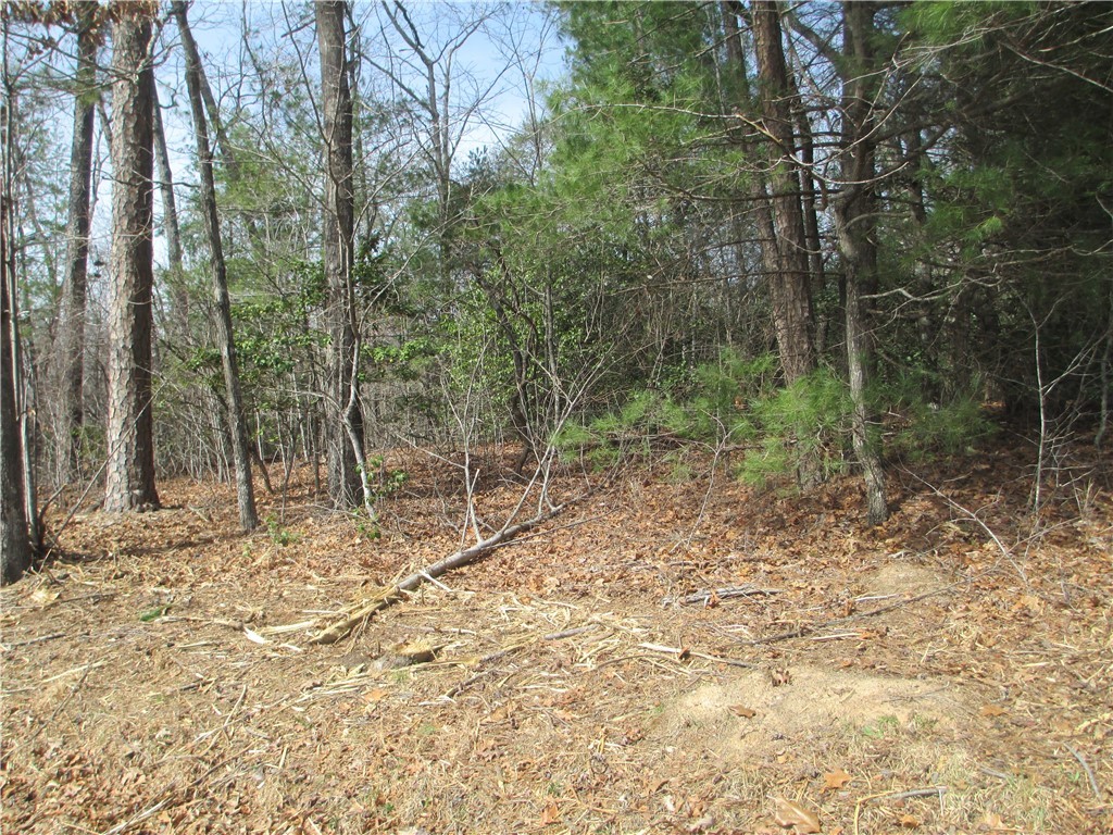 None None Whitmire Church Road Tamassee, SC 29686 - Photo 1 of 5 Gallery Image 1