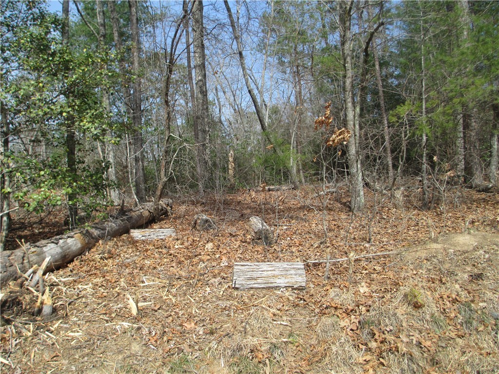 None None Whitmire Church Road Tamassee, SC 29686 - Photo 3 of 5 Gallery Image 3