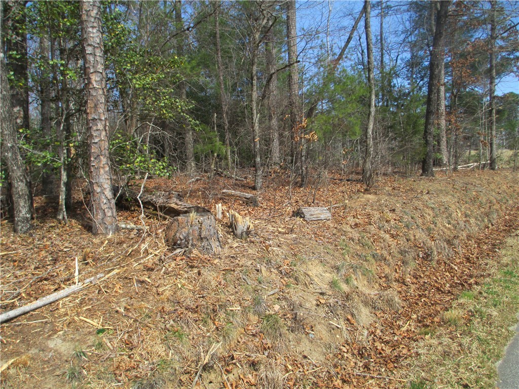 None None Whitmire Church Road Tamassee, SC 29686 - Photo 4 of 5 Gallery Image 4
