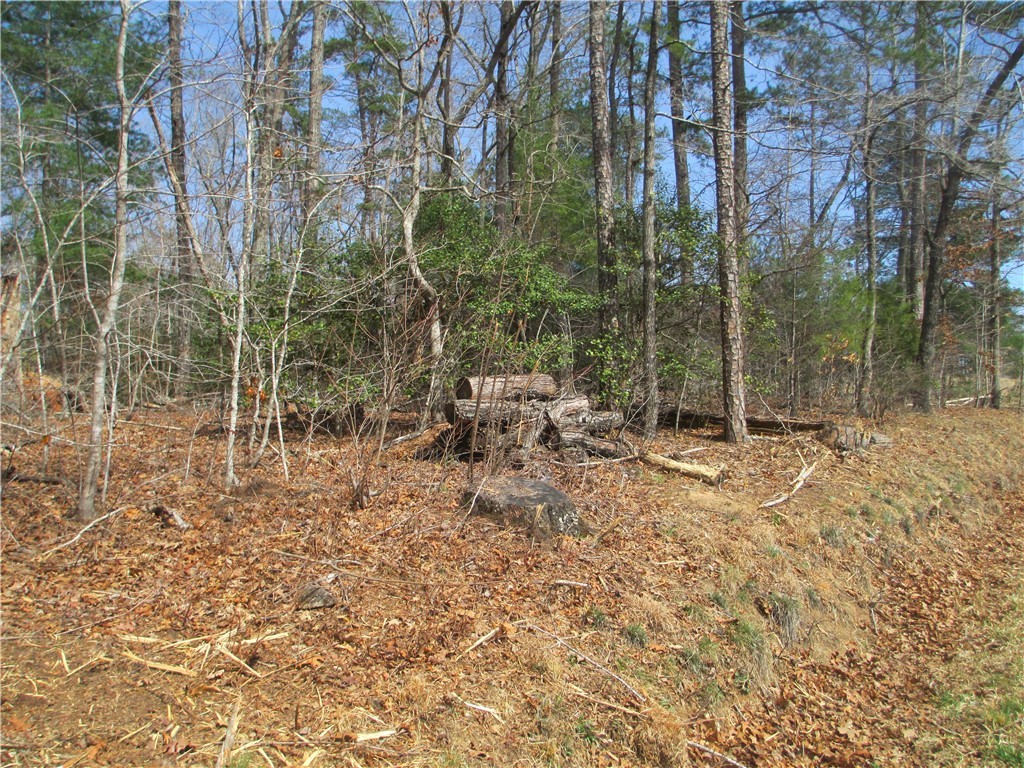 None None Whitmire Church Road Tamassee, SC 29686 - Photo 5 of 5 Gallery Image 5