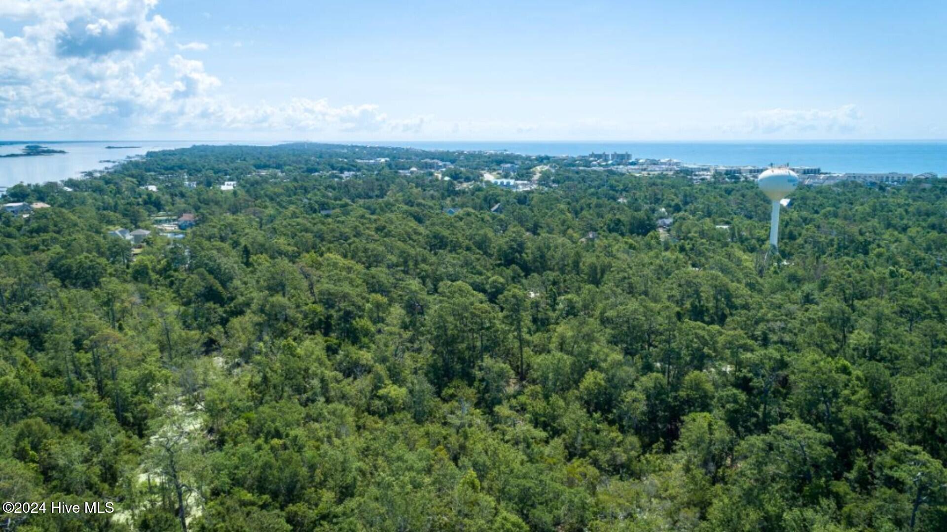 220 Surfside Lndg Boulevard, Unit LOT 9 Hubert, NC 28539 - Photo 46 of 49 Emerald Isle Woods Park Hiking Trails