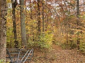 0 Aladdin Road Pfafftown, NC 27040 - Photo 9 of 17