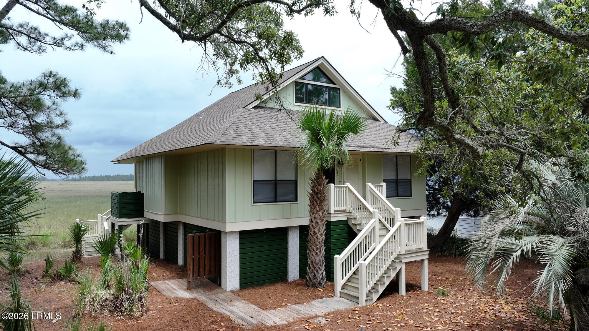*31 Marsh Dunes