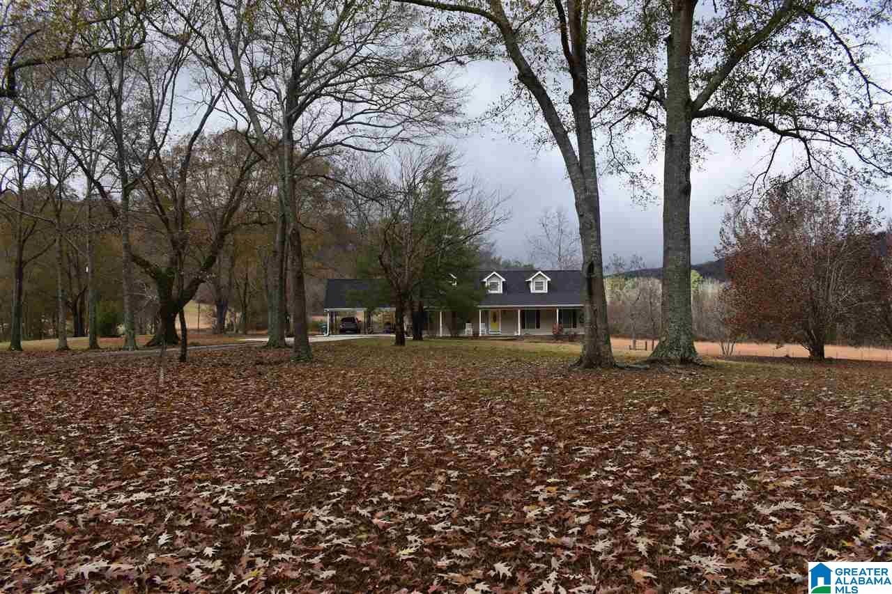 3785 Tidwell Hollow Road Oneonta, AL 35121 - Photo 5 of 42