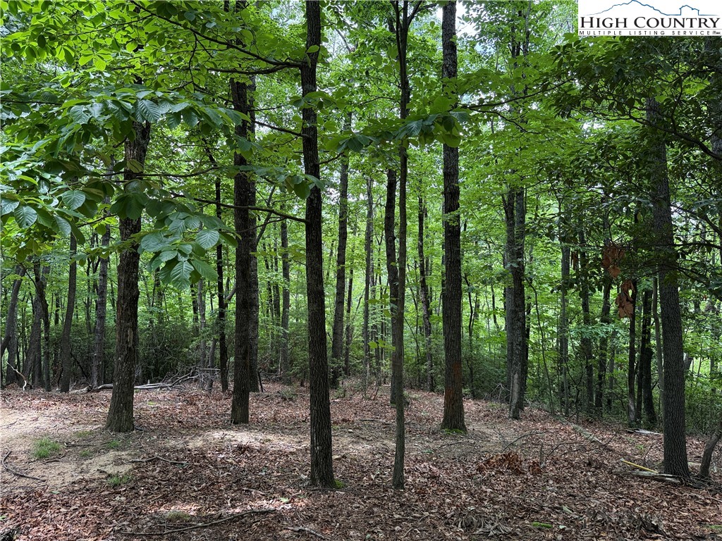 Lot 215 Casey Mountain Road Purlear, NC 28665 - Photo 1 of 49 Gallery Image 1