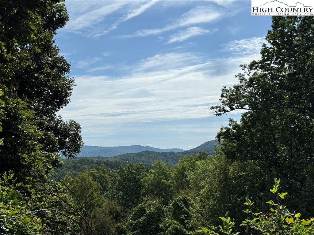 Lot 215 Casey Mountain Road Purlear, NC 28665 - Photo 3 of 49 Gallery Image 3