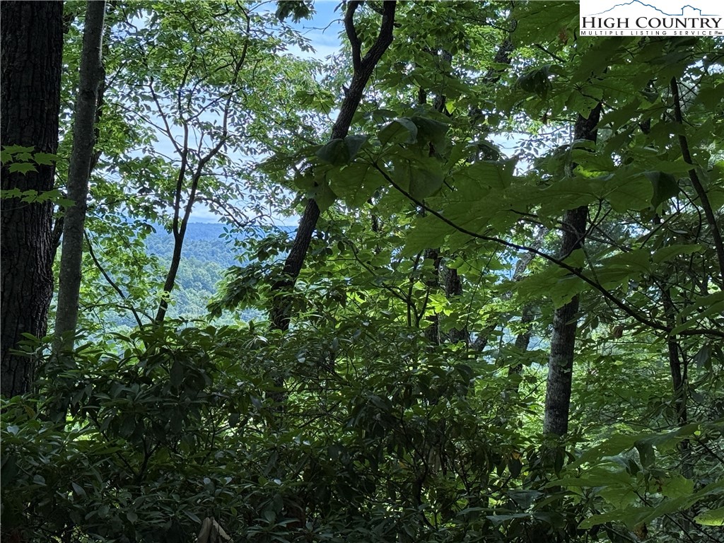 Lot 215 Casey Mountain Road Purlear, NC 28665 - Photo 5 of 49 Gallery Image 5