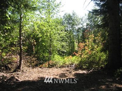 8 Pasco Road South Cle Elum, WA 98943 - Photo 1 of 1 Gallery Image 1