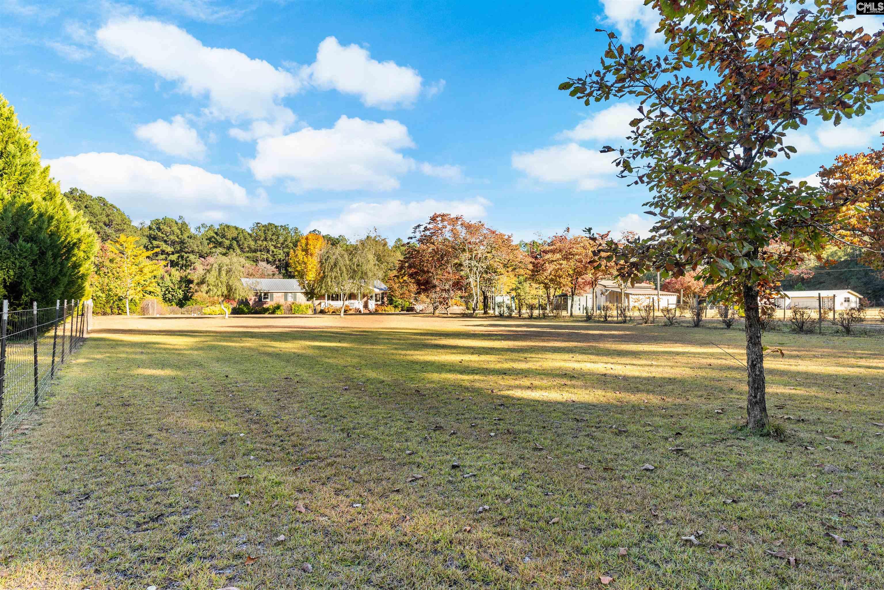 646 Briar Creek Road Branchville, SC 29432 - Photo 45 of 50