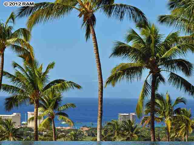 44 Anapuni Loop, Unit 3 Lahaina, HI 96761 - Photo 13 of 18 a view of a palm plant with a palm plant