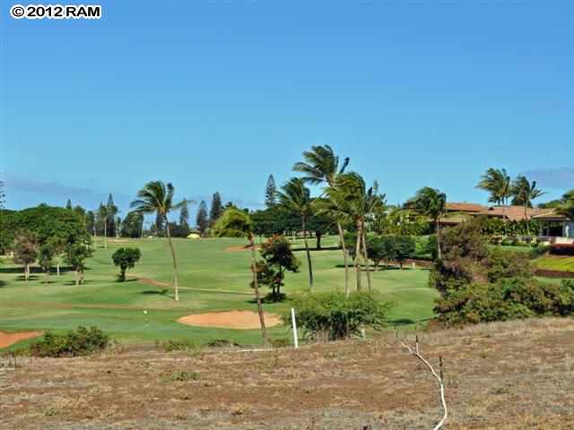 44 Anapuni Loop, Unit 3 Lahaina, HI 96761 - Photo 14 of 18 a view of a park