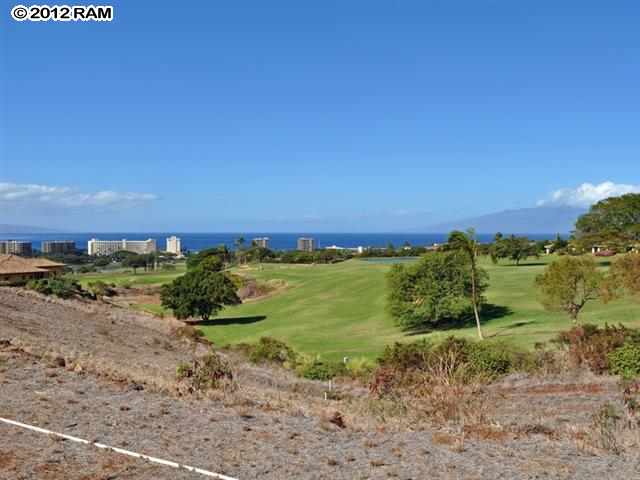 44 Anapuni Loop, Unit 3 Lahaina, HI 96761 - Photo 3 of 18 a view of an outdoor space