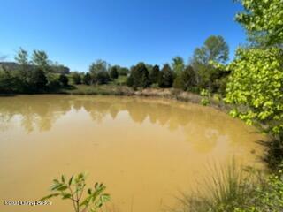 1225 Meredith Ridge Road Leitchfield, KY 42754 - Photo 7 of 9 IMG_4571