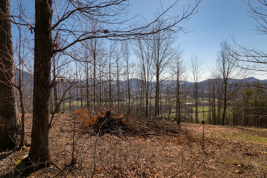 2 Which A Way Sevierville, TN 37862 - Photo 12 of 22