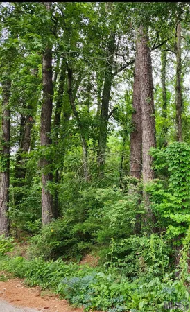 $24,500 | Lot 85 Baker Drive, Denham Springs, LA 70726