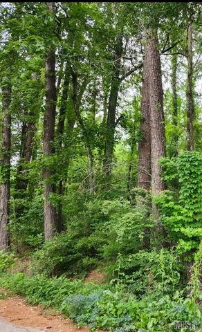 $24,500 | Lot 85 Baker Drive, Denham Springs, LA 70726