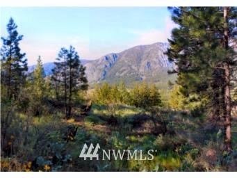 35 Cassal Road Winthrop, WA 98862 - Photo 1 of 1 Gallery Image 1