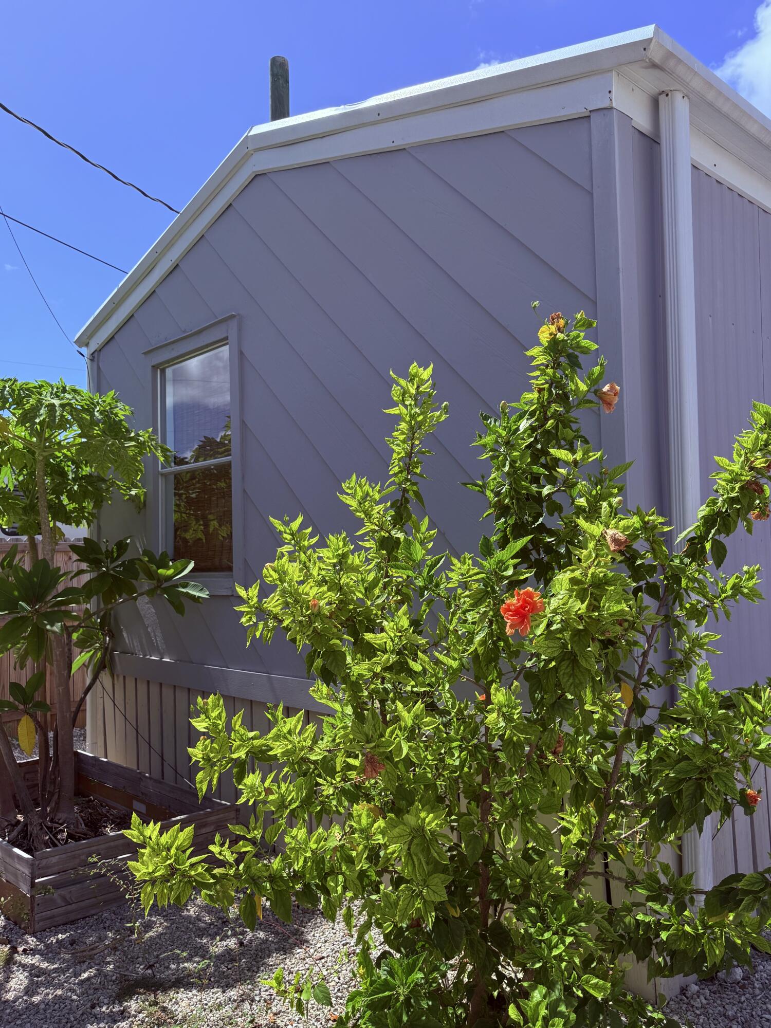 27960 Porgie Path Summerland Key, FL 33042 - Photo 3 of 30 a view of a backyard with plants
