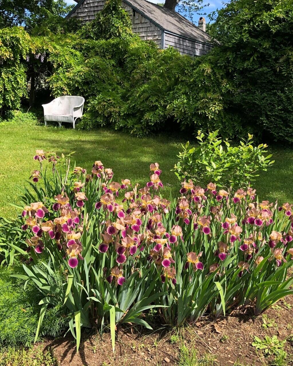 17 Lobster Cove Road York, ME 03909 - Photo 12 of 29 amy119