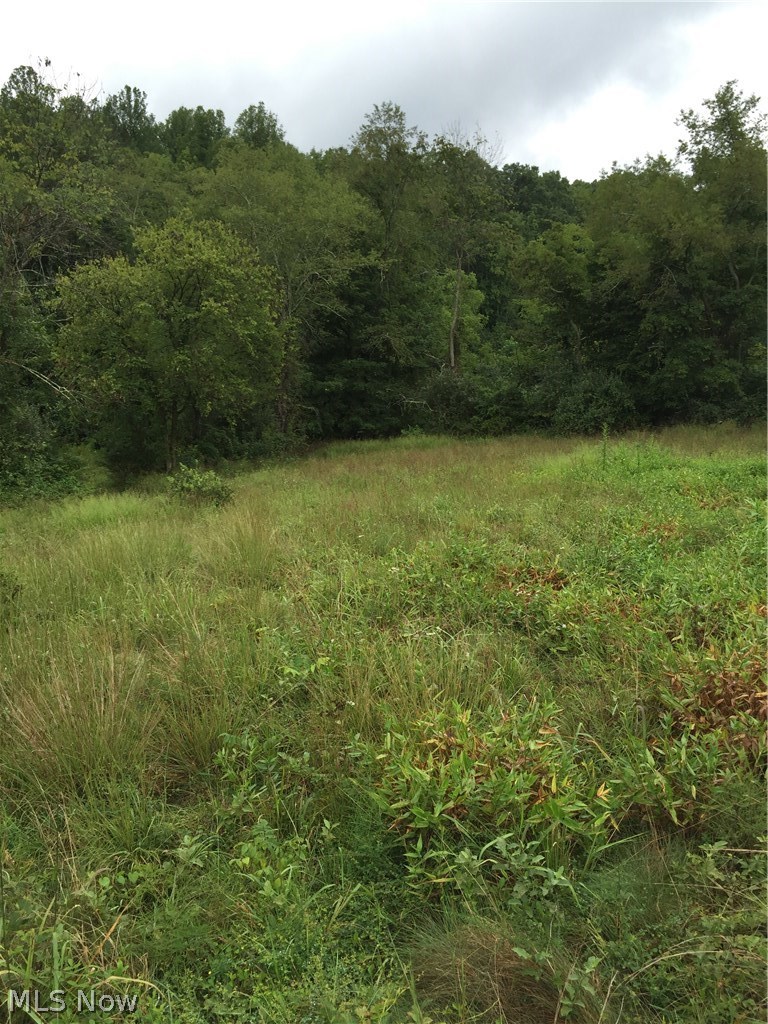 Camp Run Road Alma, WV 26320 - Photo 6 of 9