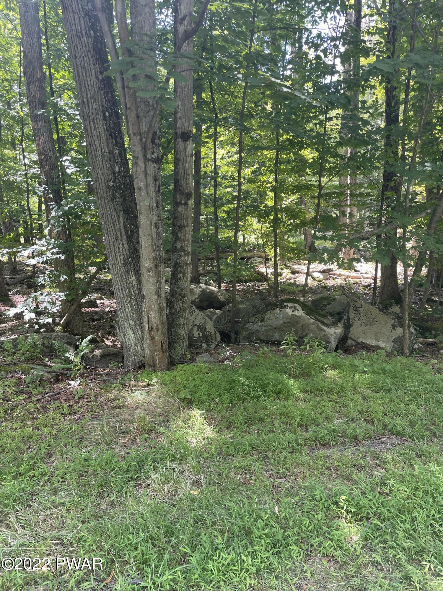 0 Siko Road Honesdale, PA 18431 - Photo 11 of 13