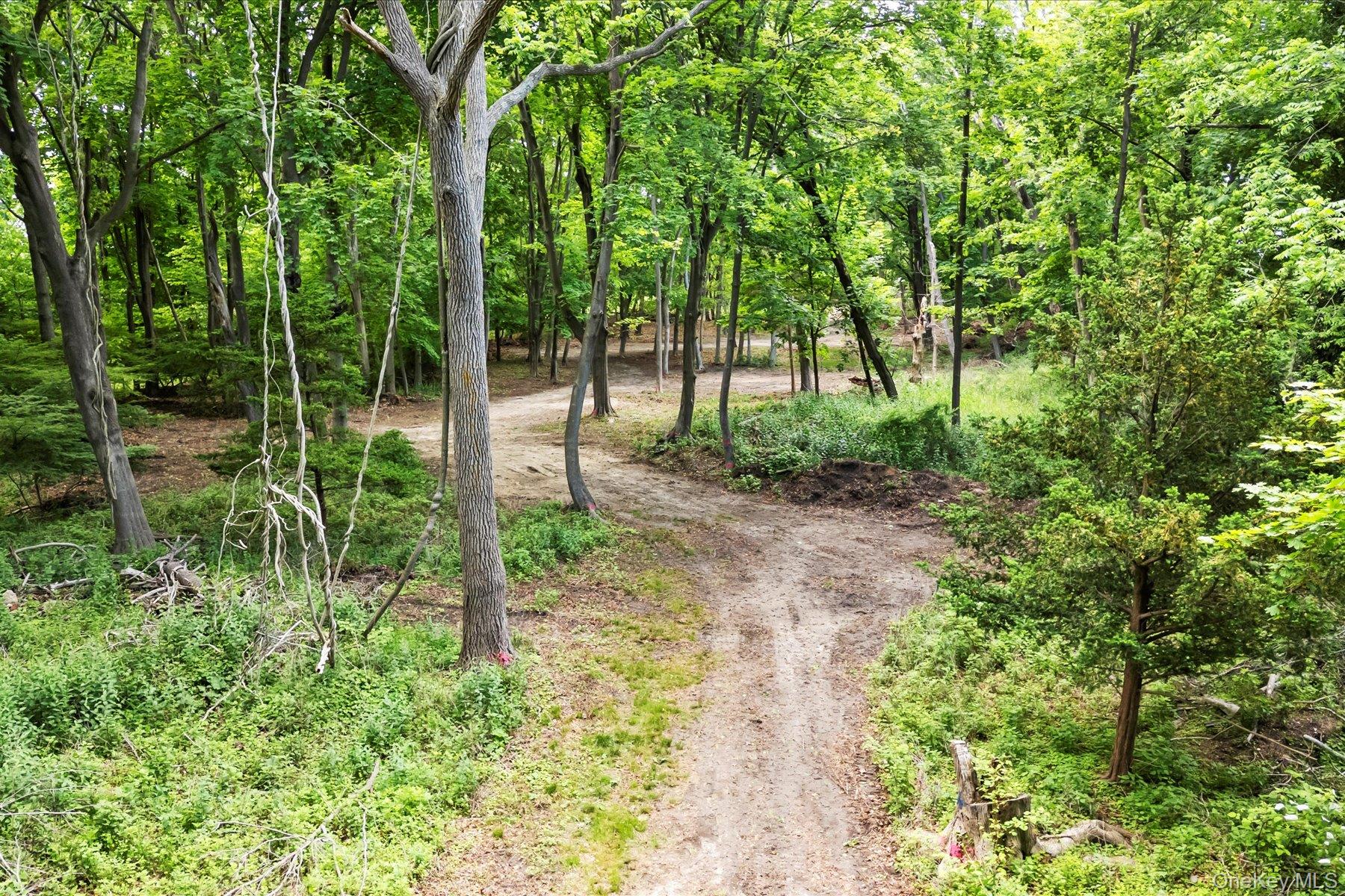 198 South Country Road Bellport, NY 11713 - Photo 16 of 19