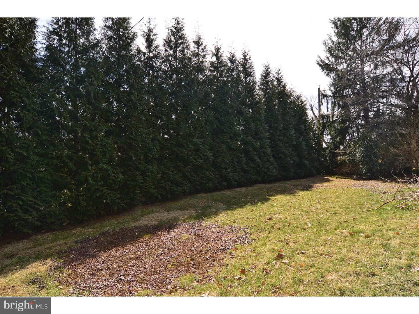 1 Jeffrey Road Reading, PA 19601 - Photo 20 of 21 Back Yard