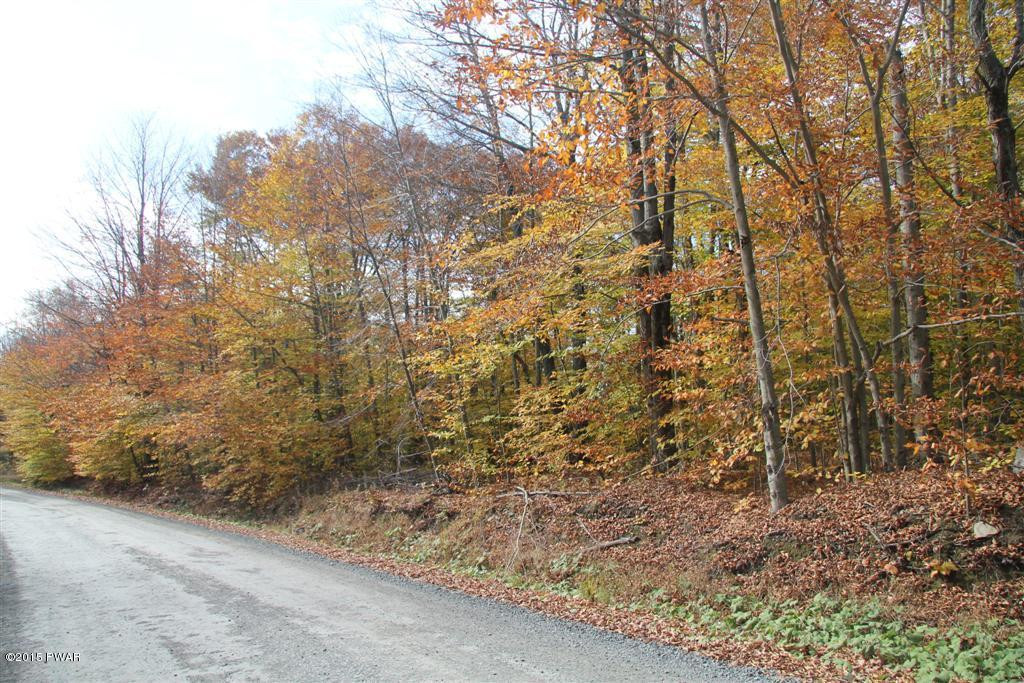 Lot 8-9 Ravnikar Road Waymart, PA 18472 - Photo 1 of 6