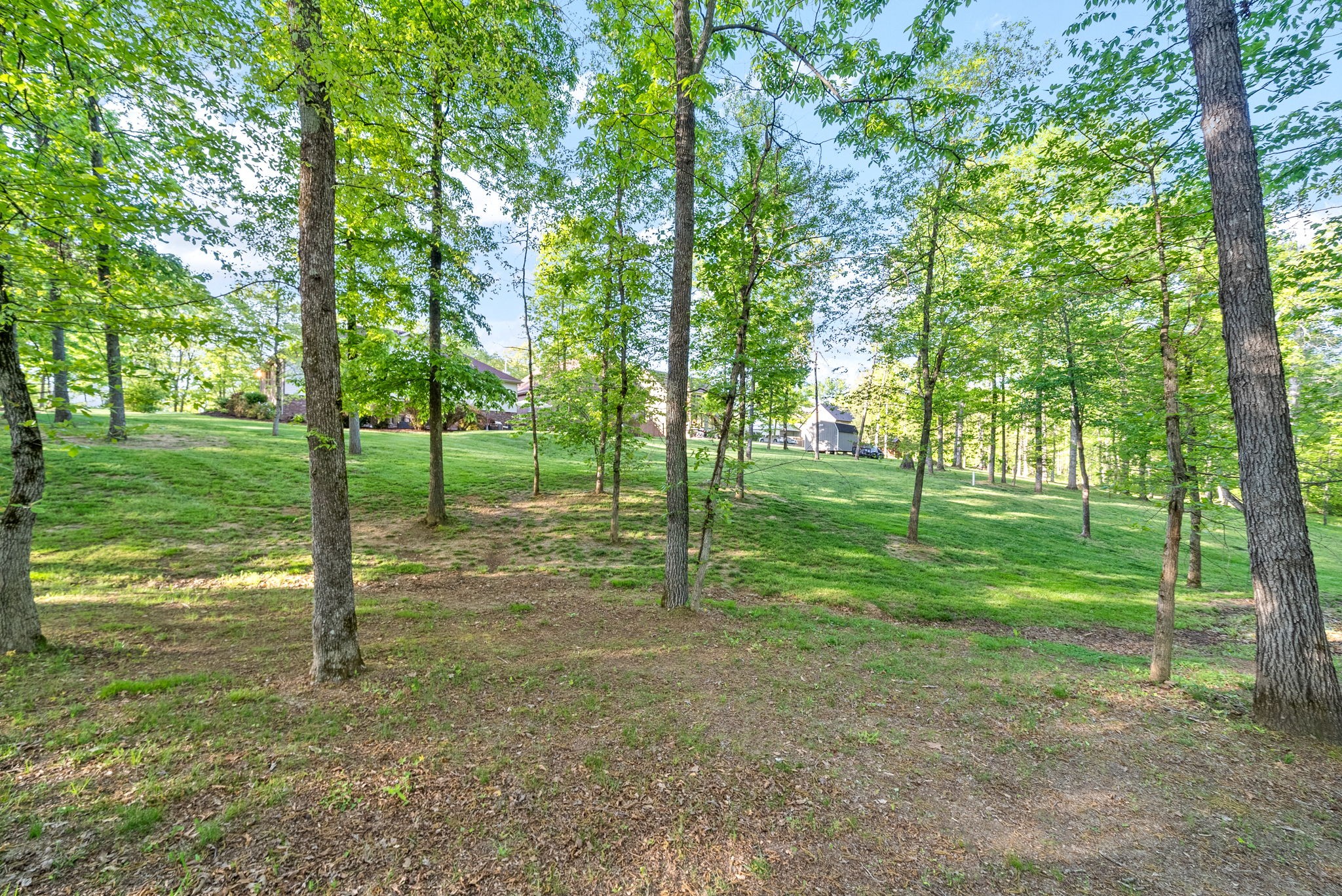 470 Salem Ridge Road Clarksville, TN 37040 - Photo 54 of 69 a view of a park with a tree