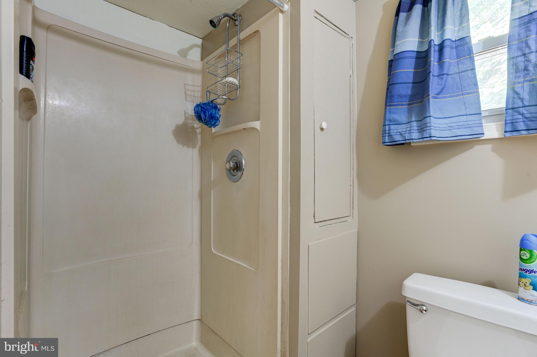 3146 Sandy Hook Road Street, MD 21154 - Photo 17 of 36 Primary Bath