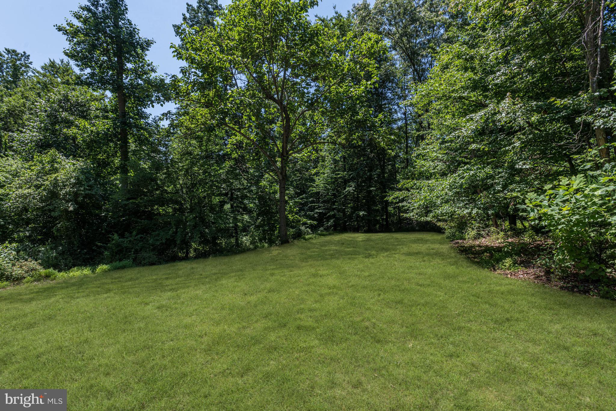 3146 Sandy Hook Road Street, MD 21154 - Photo 30 of 36 Property View