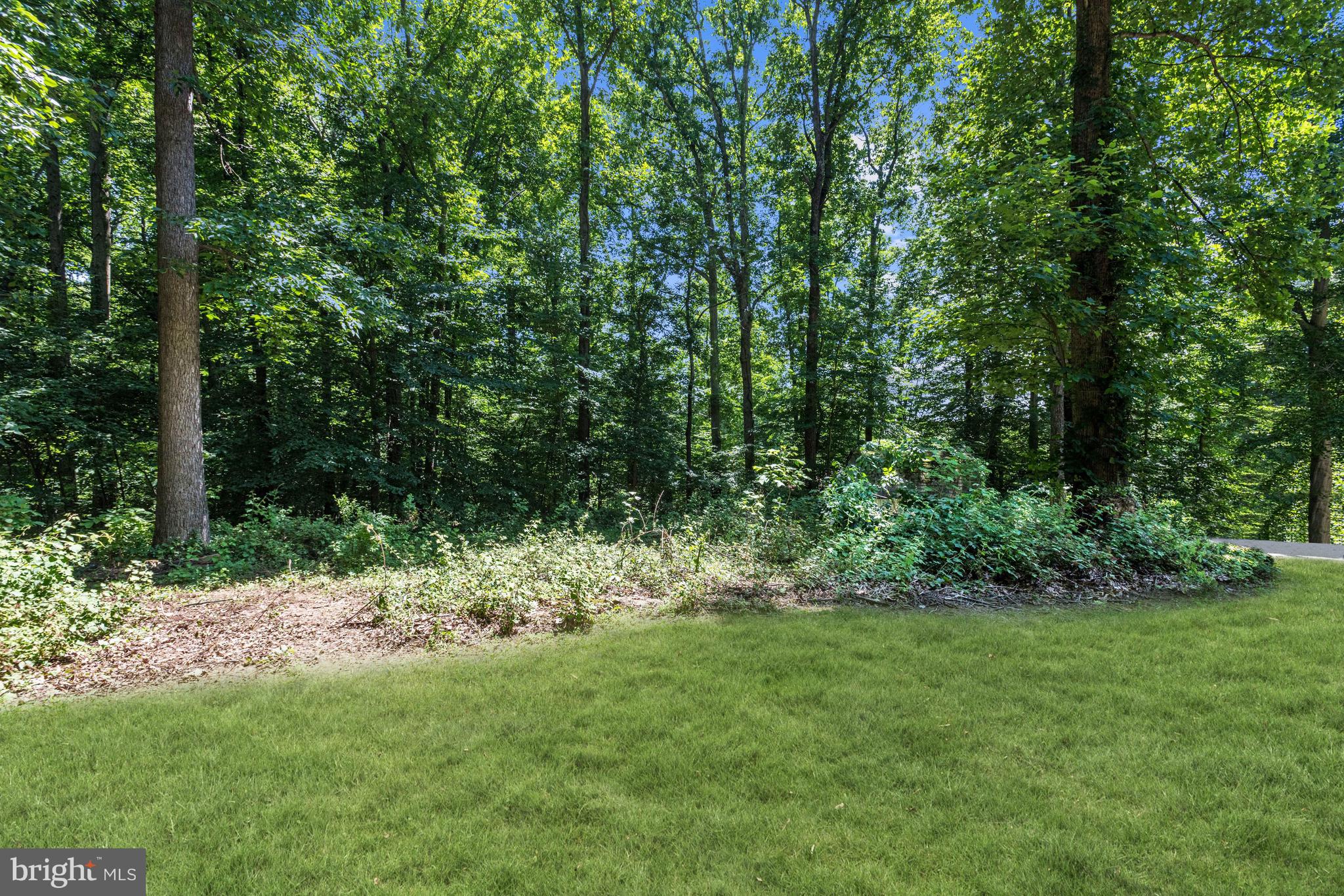 3146 Sandy Hook Road Street, MD 21154 - Photo 31 of 36 Property View