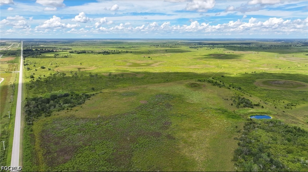 0 County Line Road East Bowling Green, FL 33834 - Photo 9 of 20