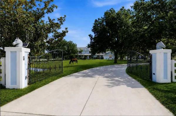 a view of a park with large trees