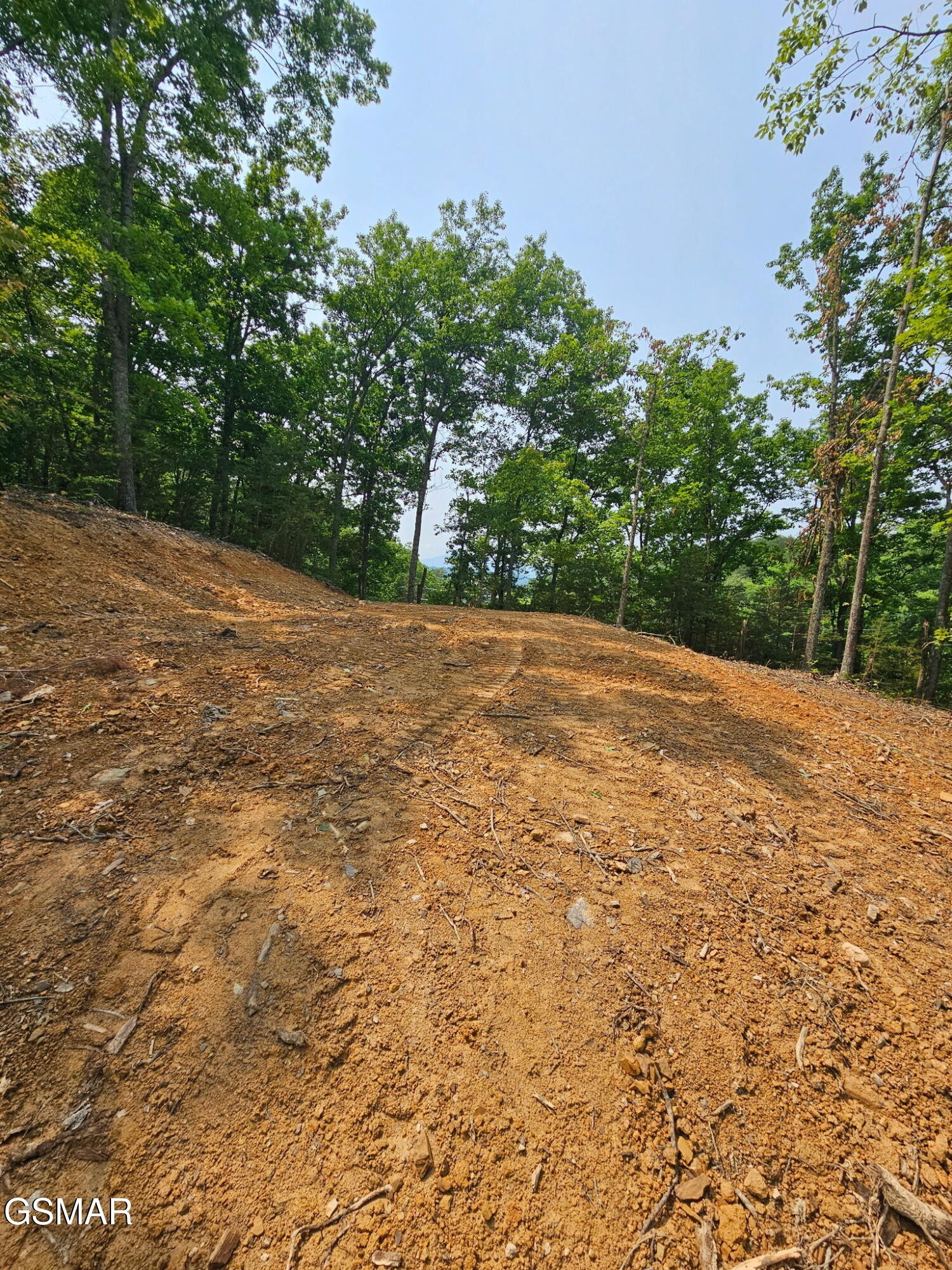 124 Sharp Road Sevierville, TN 37876 - Photo 4 of 14