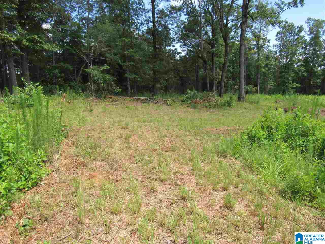 1 County Road 2811 Lineville, AL 36266 - Photo 3 of 8