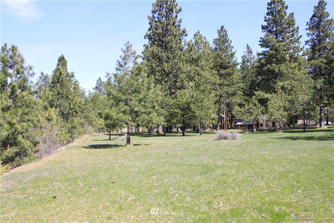 230 Markovich Road Cle Elum, WA 98922 - Photo 7 of 22 Gallery Image 7
