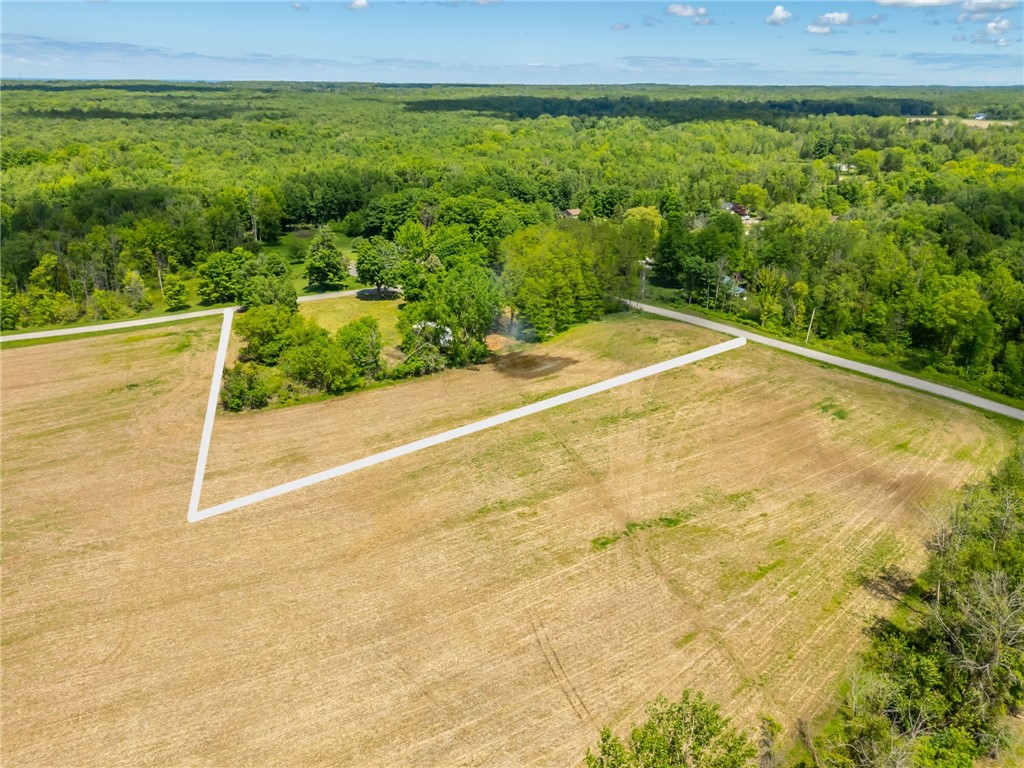 17156 Ladue Road Clarendon, NY 14470 - Photo 9 of 41 *Lot lines are estimated*