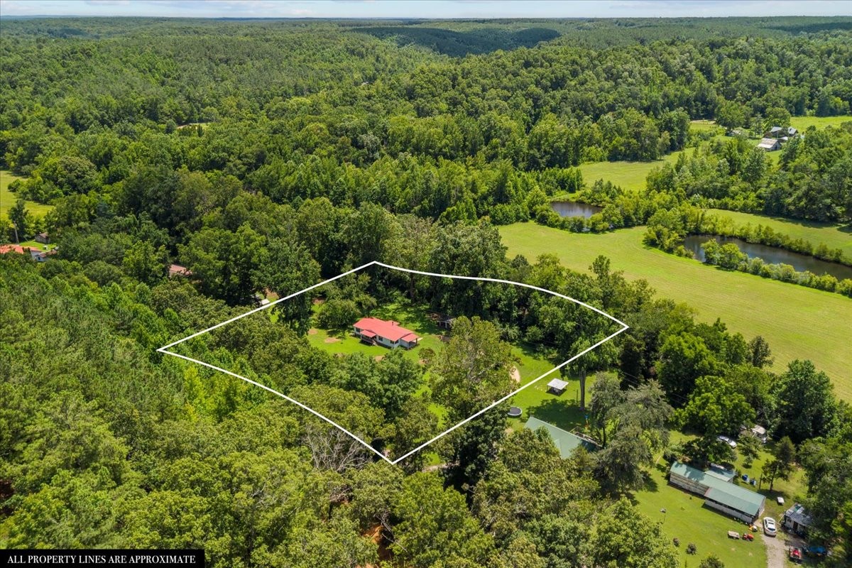 1227 Brushy Road Centerville, TN 37033 - Photo 47 of 60