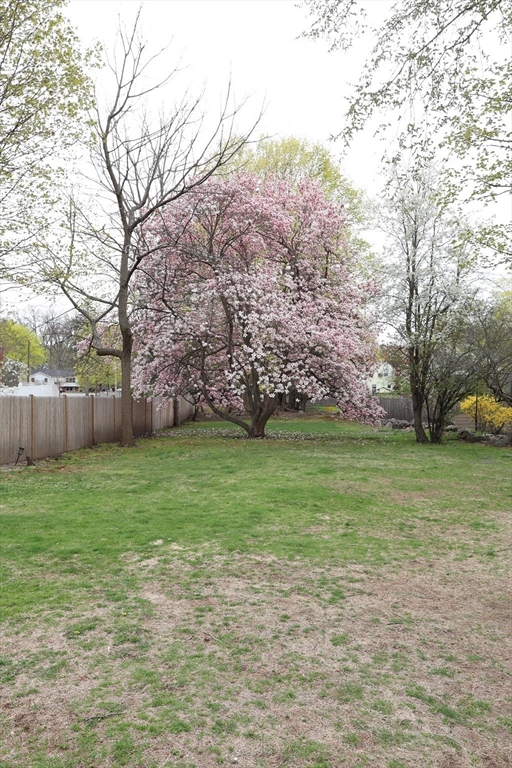 212 West Street, Unit 1 Reading, MA 01867 - Photo 27 of 31