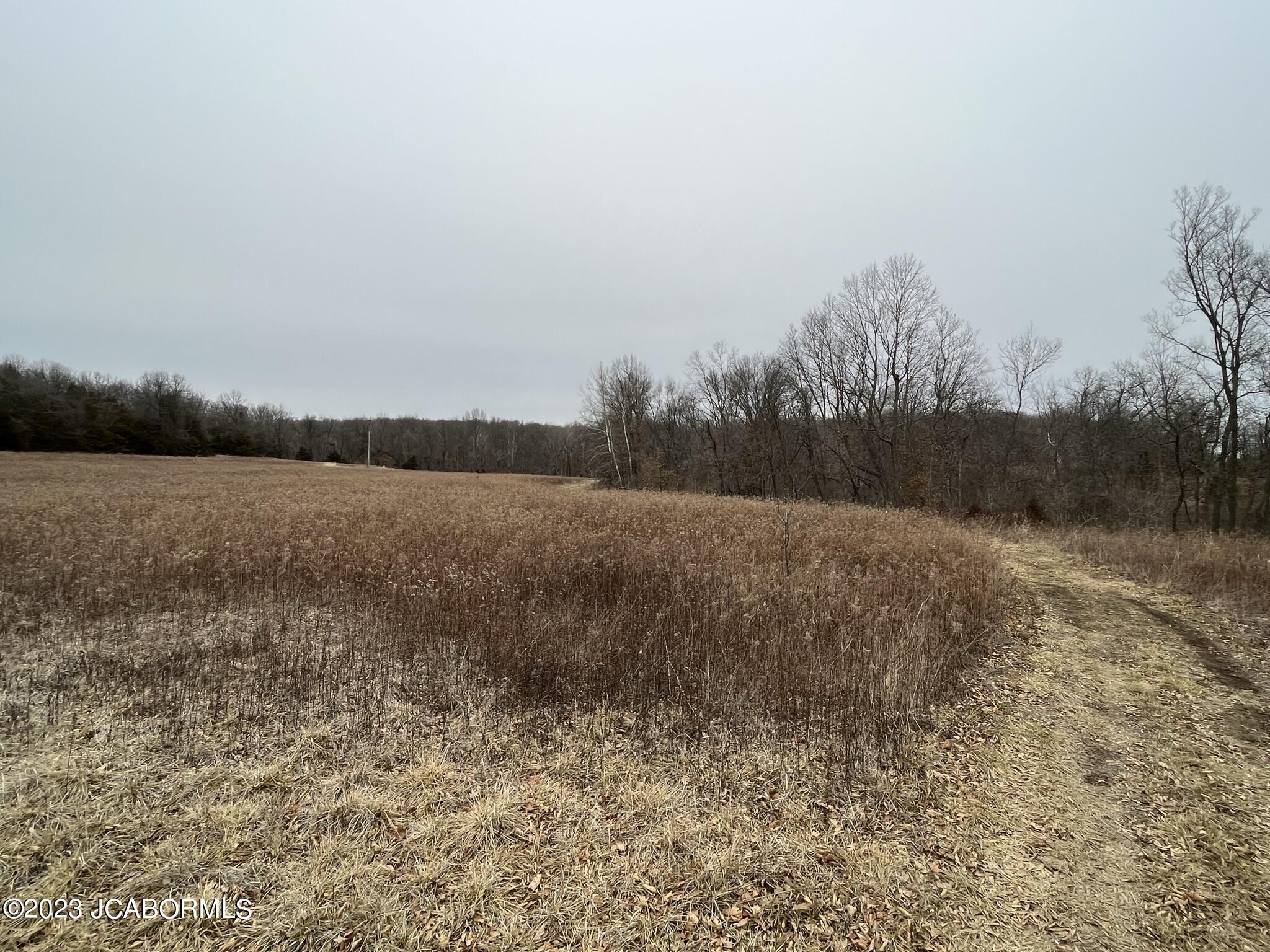 Tbd Big Lick Road Boonville, MO 65233 - Photo 14 of 59